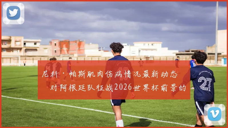 尼科·帕斯肌肉伤病情况最新动态：对阿根廷队征战2026世界杯前景的影响分析